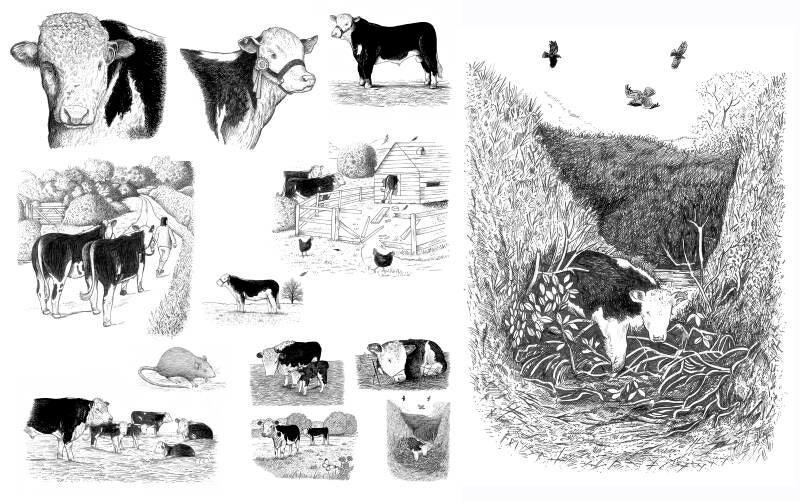 high jinks and happiness drawings