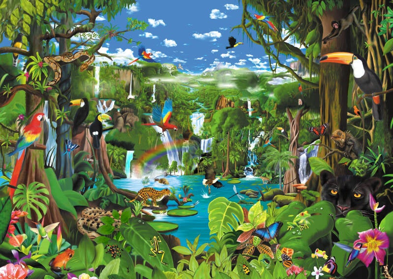 Magnificent Rainforest