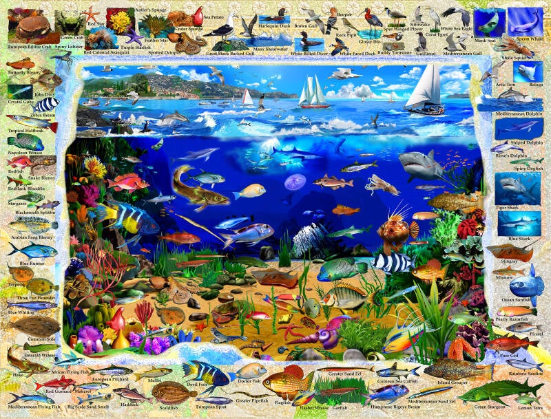 Mediterranean Version 2