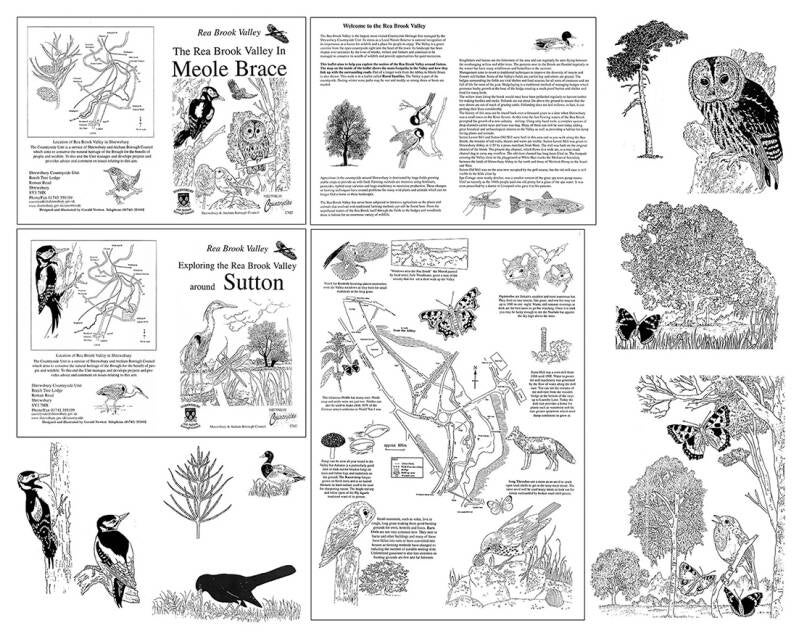 Meole Brace Wildlife Walk Leaflet