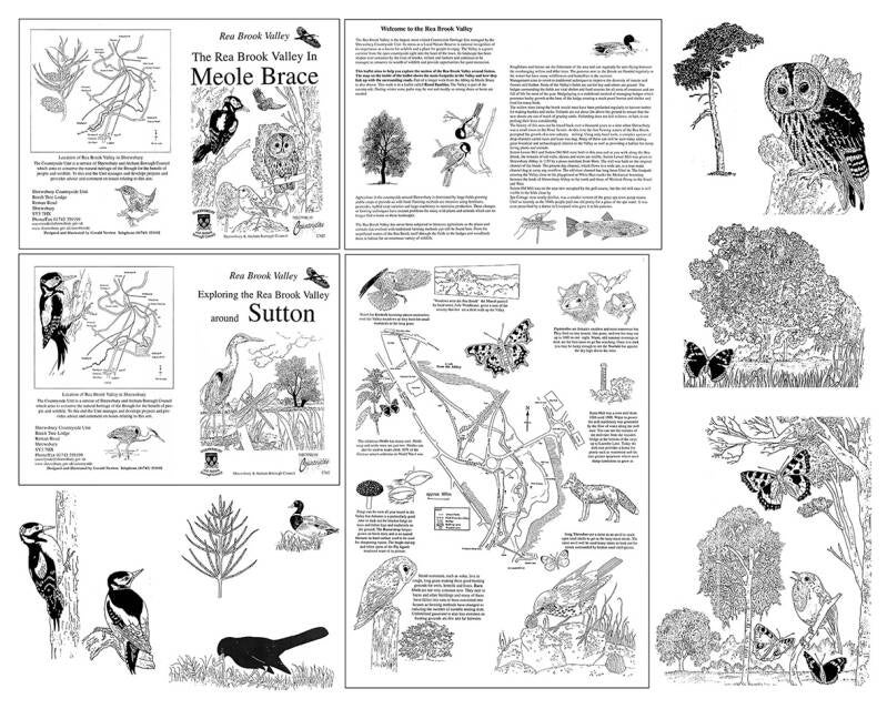 rea-brook-valley-leaflets