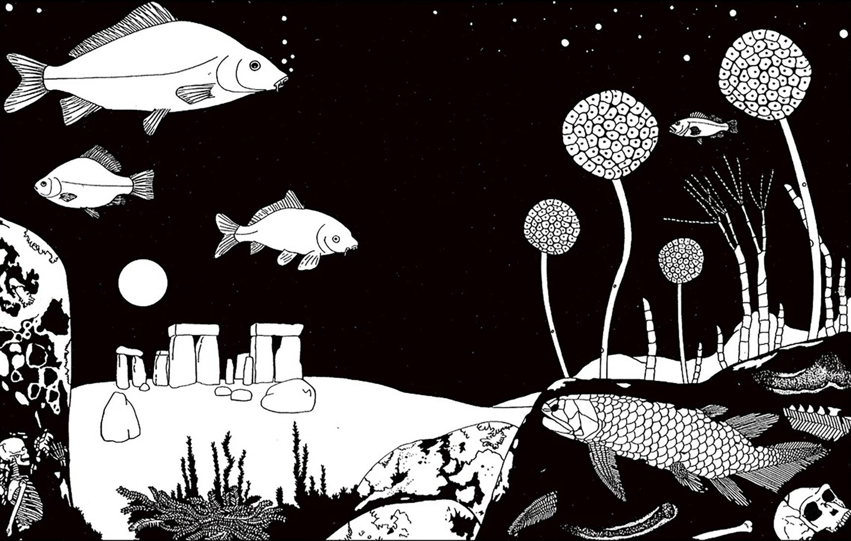 Relics Bizzart graphic card series