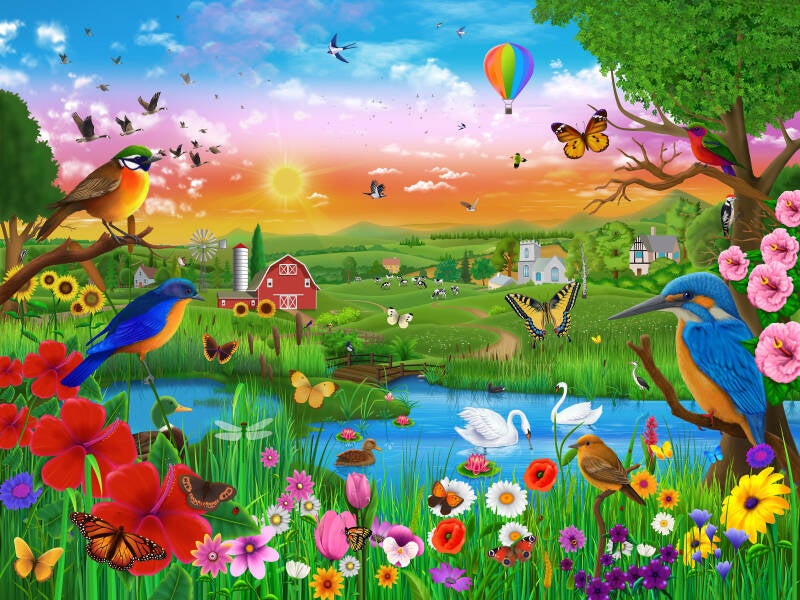 the-amazing-countryside-kingfisher-farm-swan-flowers-birds