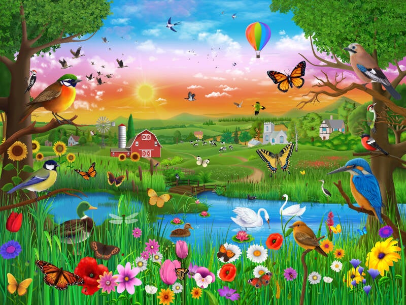 the-amazing-countryside-kingfisher-swans-fields-river-nature
