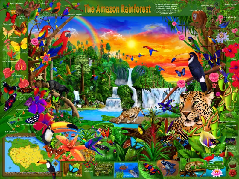 the-amazon-rainforest-educational-illustration