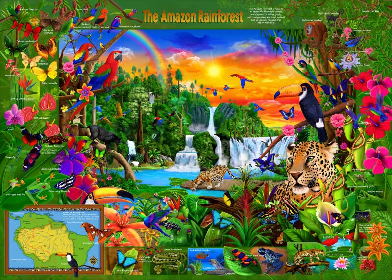 the-amazon-rainforest-educational-wildlife-animals-birds