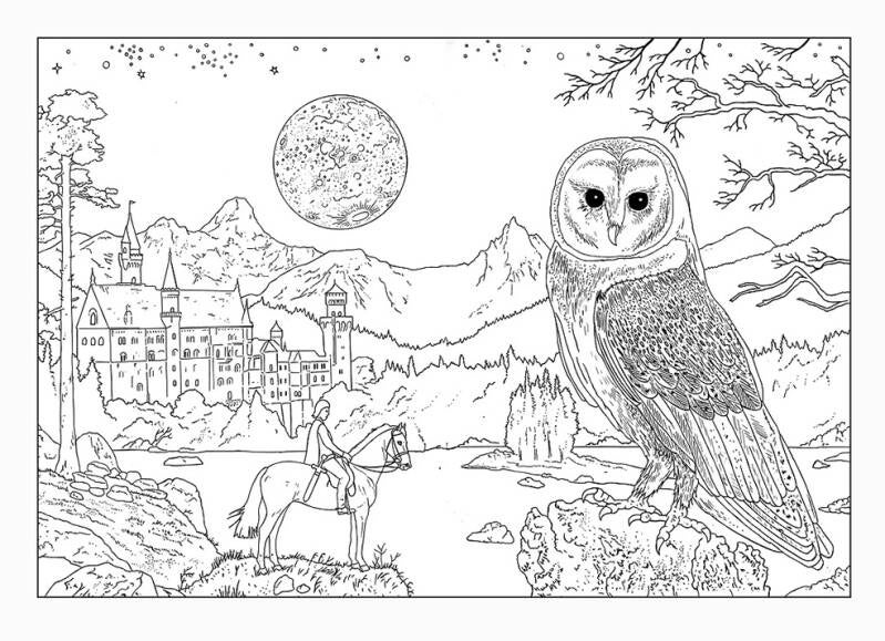 The Moonlight Owl. Colour in Drawing