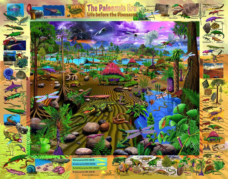 The Paleozoic Era 2