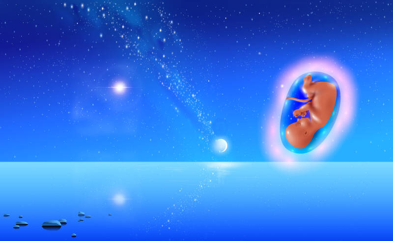 Twilight Experiments Too. CD Back Artwork