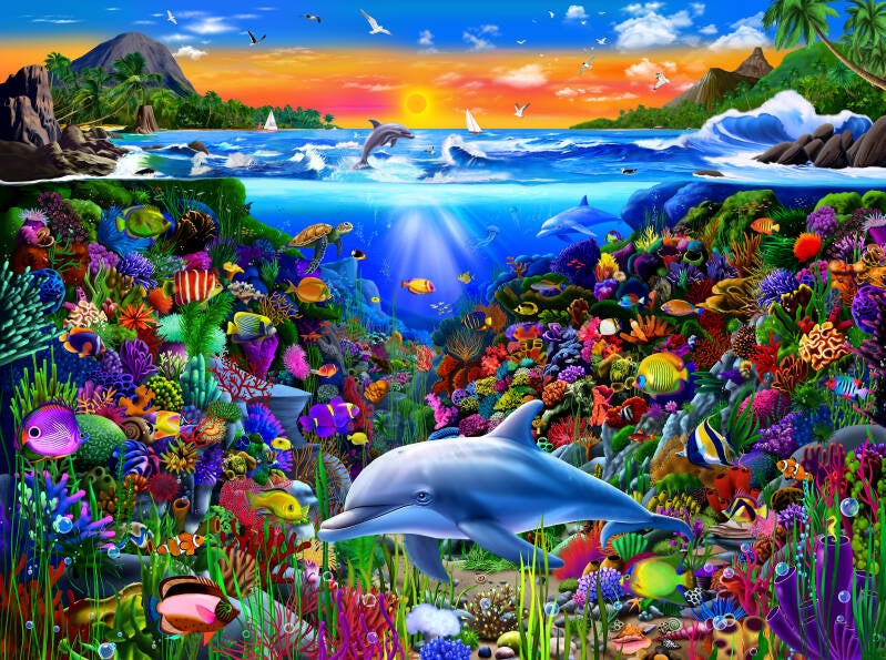 tropical-coral-reef-dolphin-marine-fish-island-illustration-standard.jpg