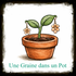 une graine dans un pot