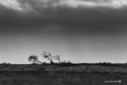 20230221-20230221-schiermonnikoog-10598.jpg