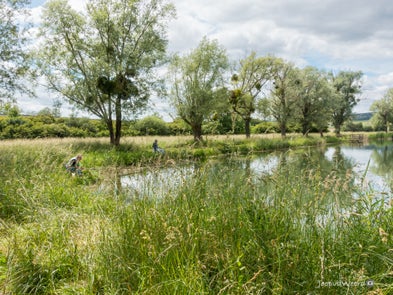 natuur-2-standard.jpg