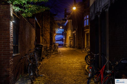 20221109-groningen-avond08.jpg
