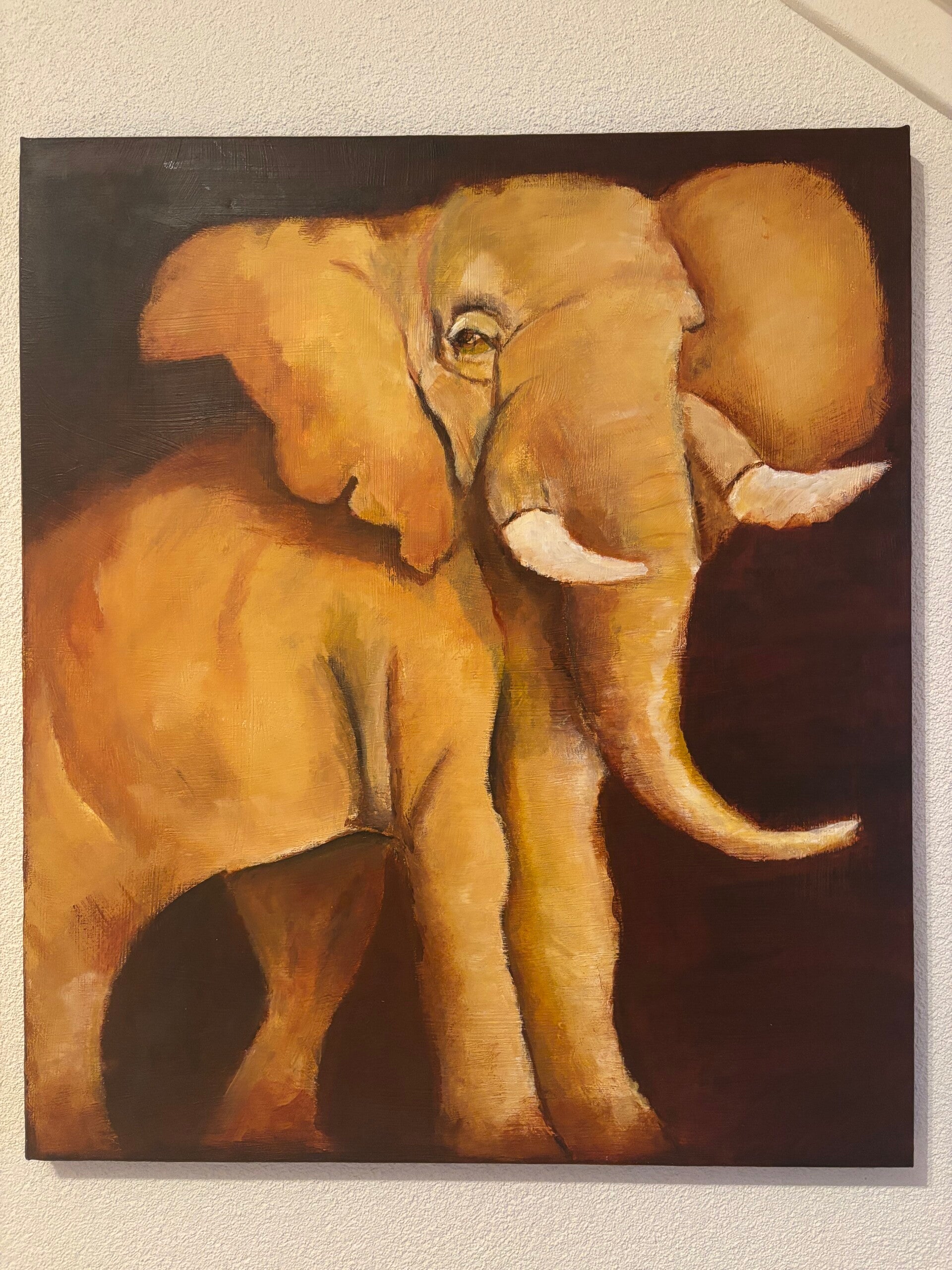 Drager Van Vergeten Wegen