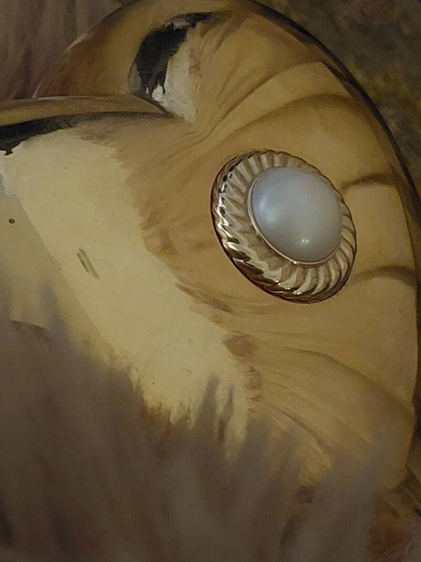 Poeder Limited "Moschino"