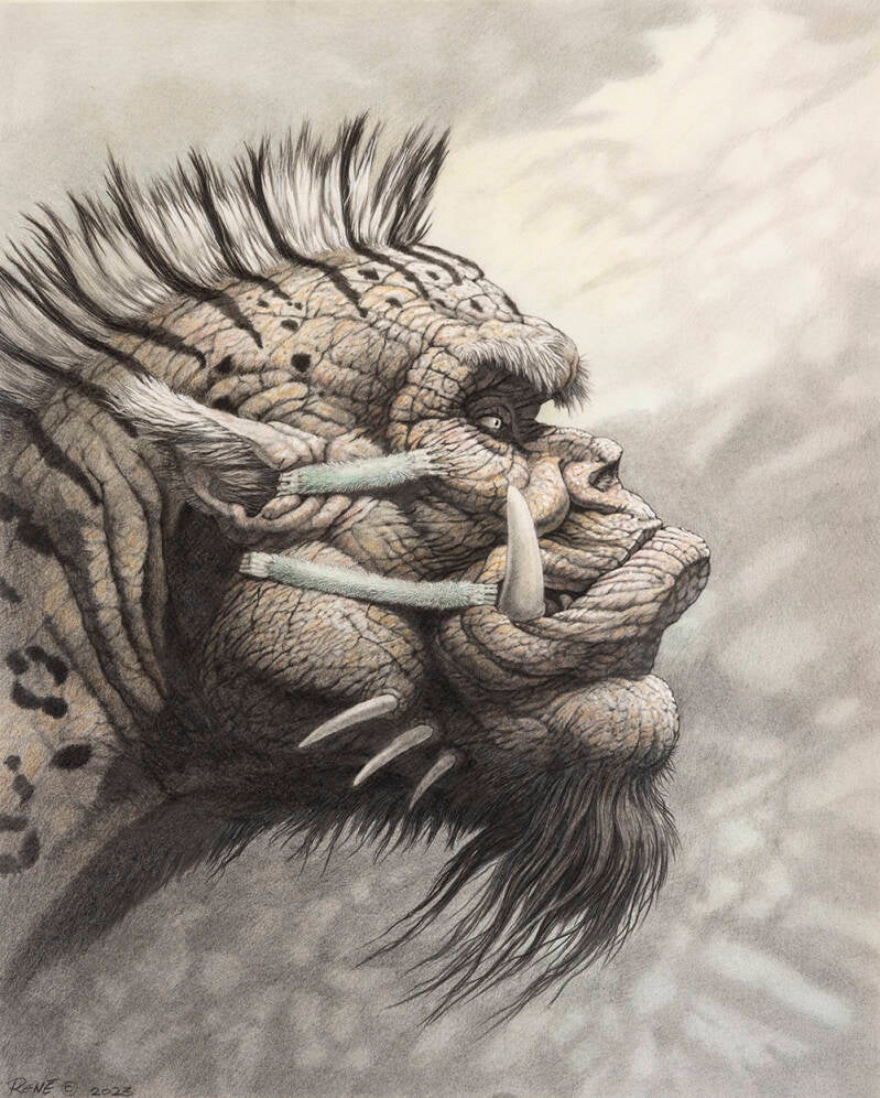 Rene van Druten - monster 50x40 cm.jpg