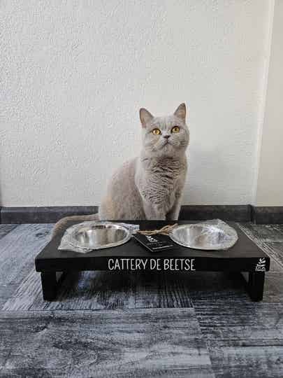 Staal Black Wash met naam (Maat S)