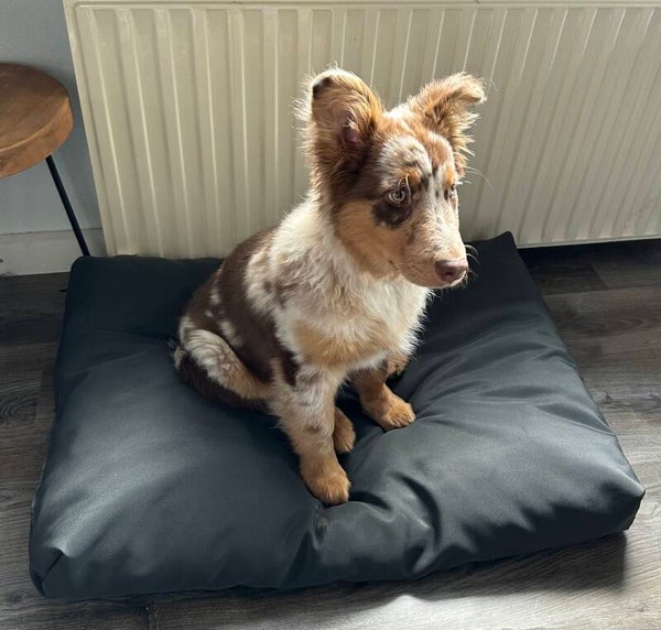 Luxe hondenkussen 75x100cm