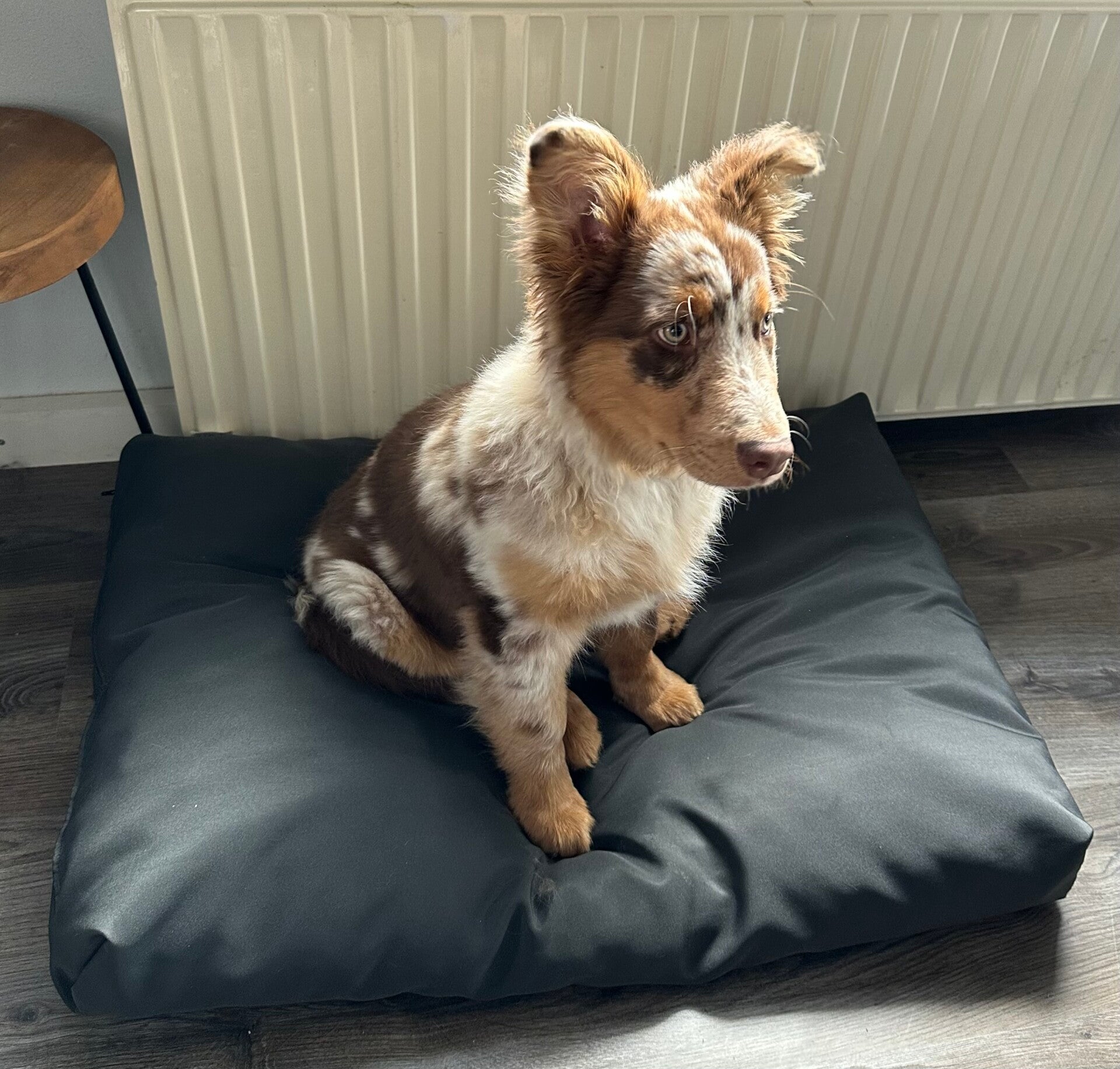 Luxe hondenkussen 75x100cm