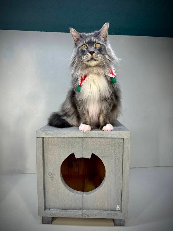 Kattenhuis ZILVER (limited edition)