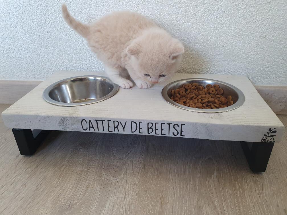 Staal White Wash Met naam (Maat S)