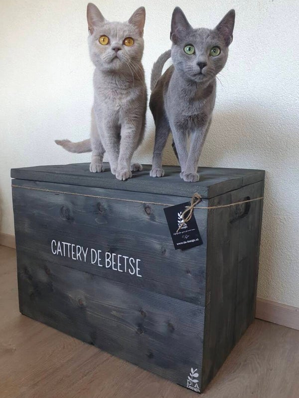 Katten en Honden speelgoedkist