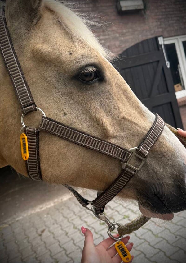 Gepersonaliseerde naamlabels voor jouw paardenspullen
