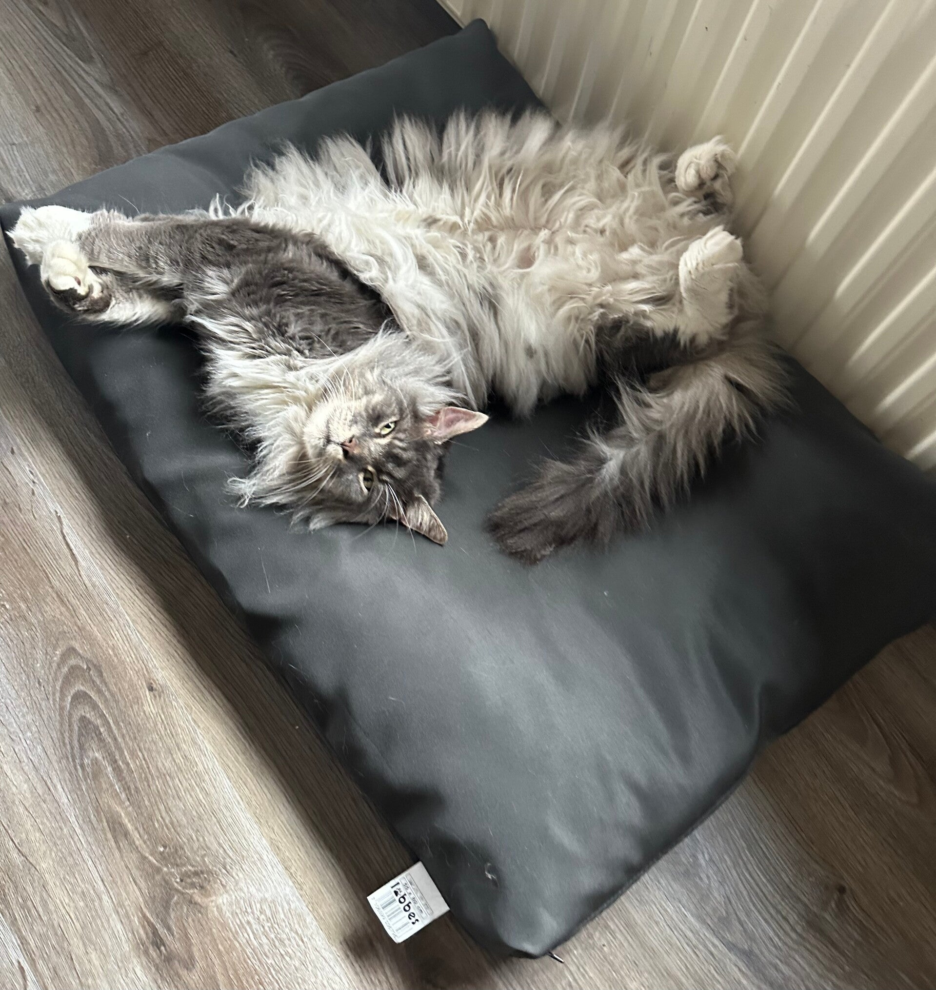 Luxe hondenkussen 55x80cm