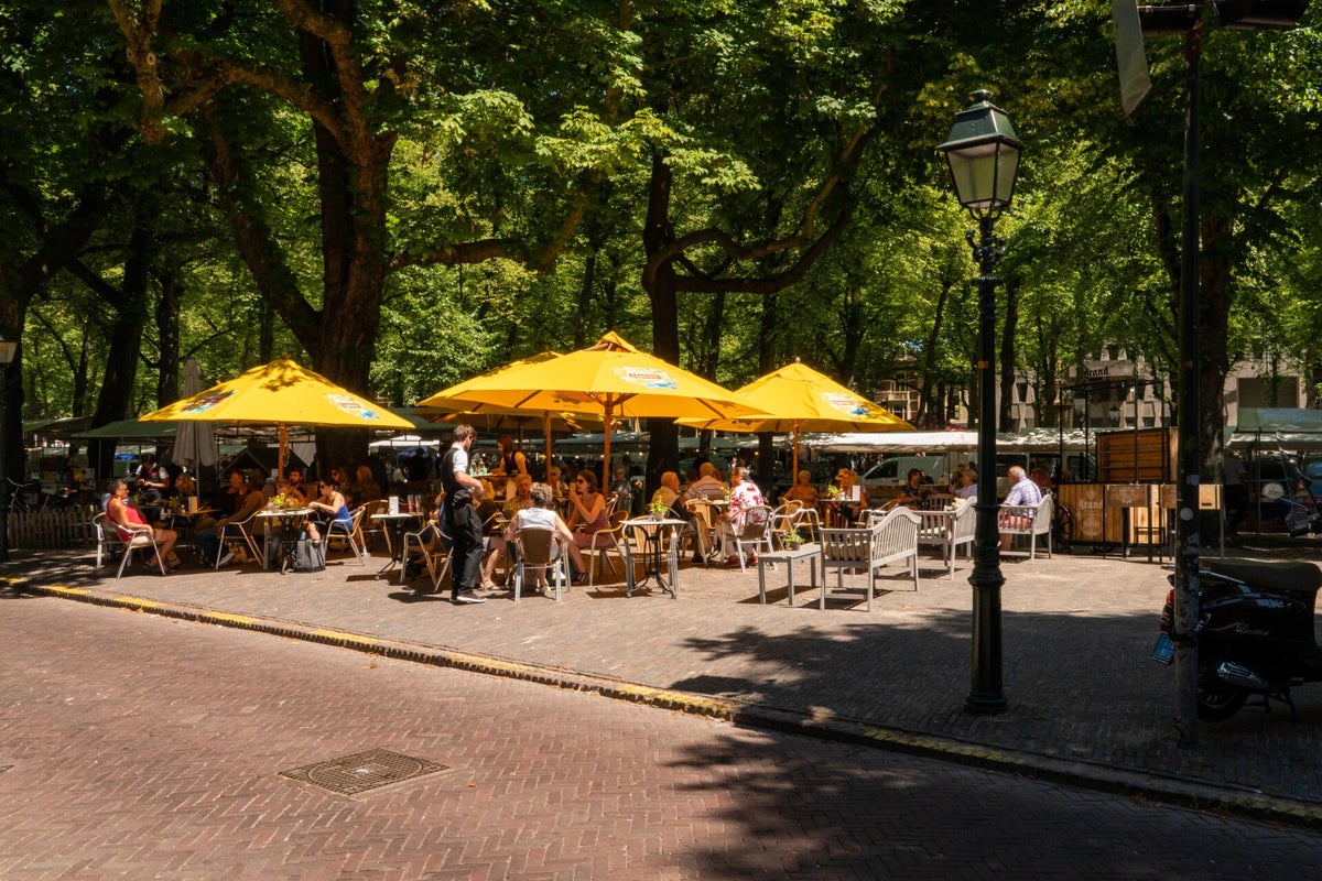 Lange Voorhout haagseantiekenboekenmarkt
