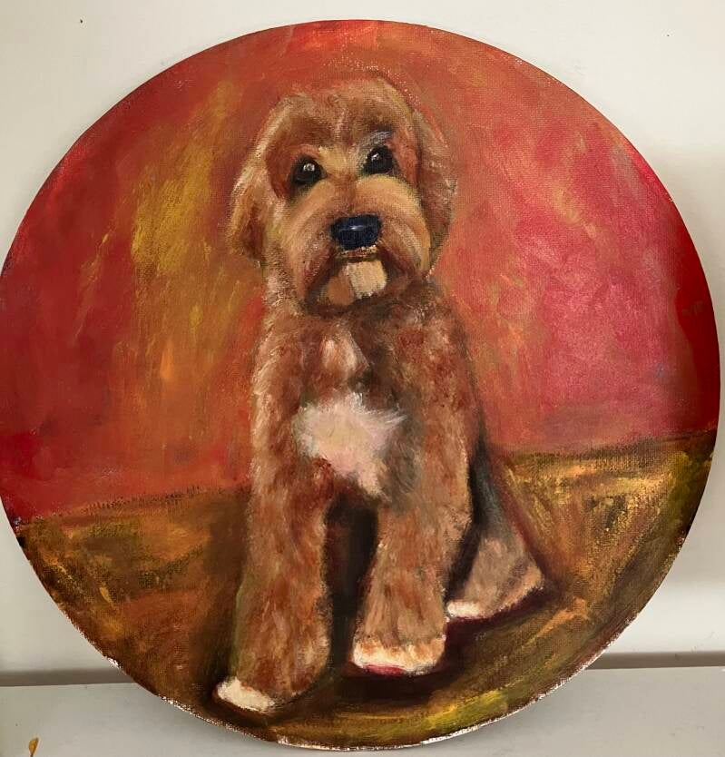 Labradoodle