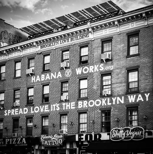 Brooklyn Building, NY 2025