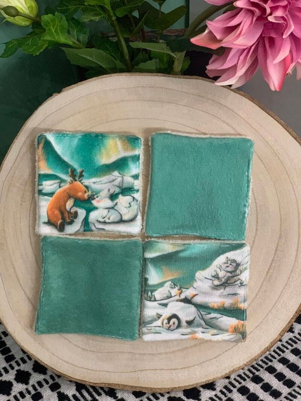 Lingettes Banquise x4 (Lot 4)