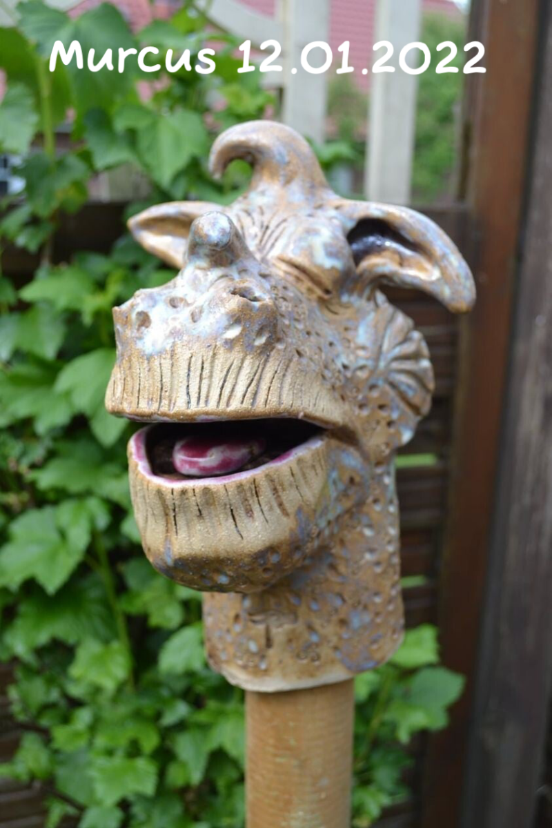 Murcus 12.01.2022