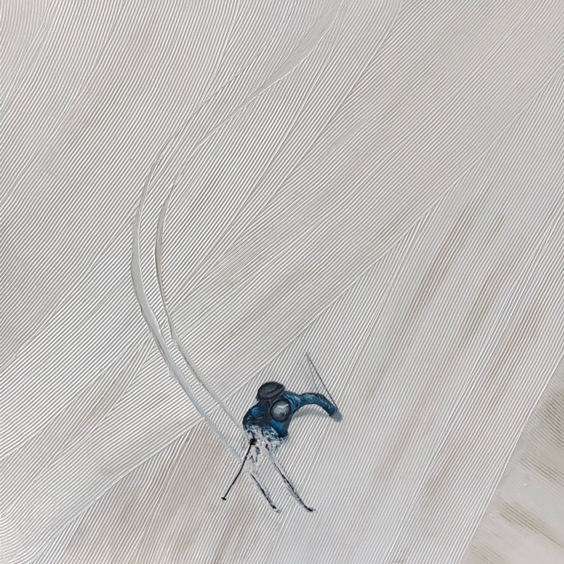 skieur vue ciel segolen effet de matière