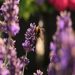 20160710140725-1.jpg
