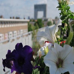 IMG_0755.jpg