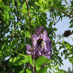 IMG_0686.jpg