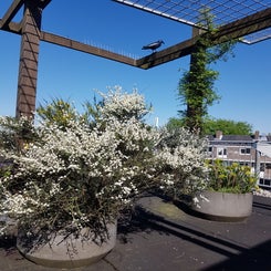 20180508_163035-1.jpg