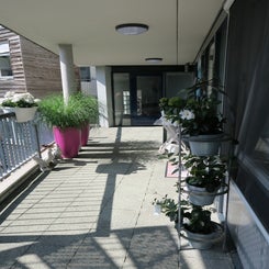 IMG_0752.jpg