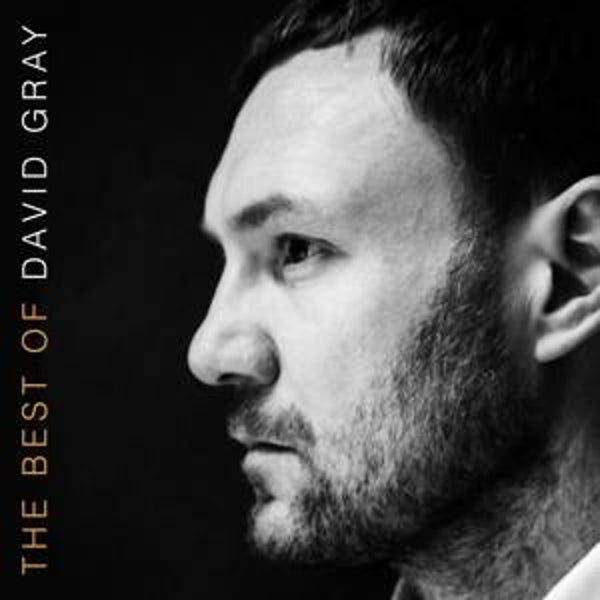 Gray, David- The Best of