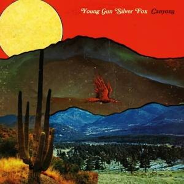 Young Gun Silver fox-Canyons