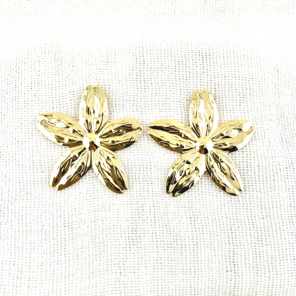 Boucles d'oreilles Astrée