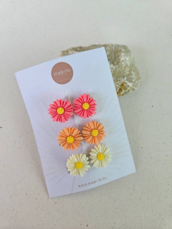 Setje Masie - Clipje Masie