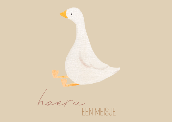 Mini Kaartje"Hoera,een meisje"
