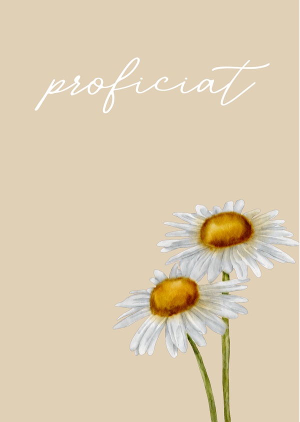 Mini Kaartje"Proficiat margriet"