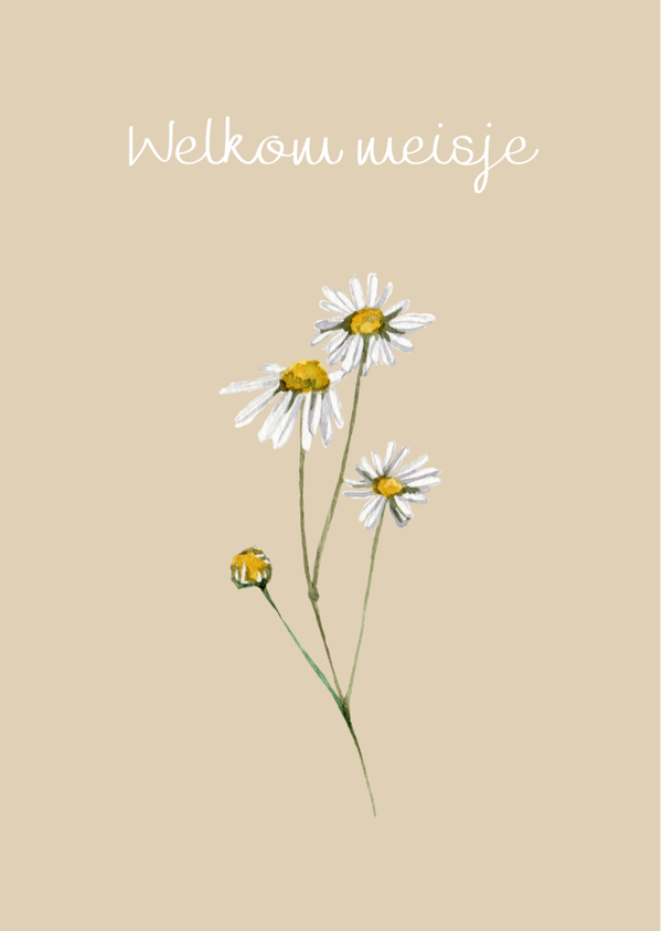 Wenskaart "Welkom Meisje"