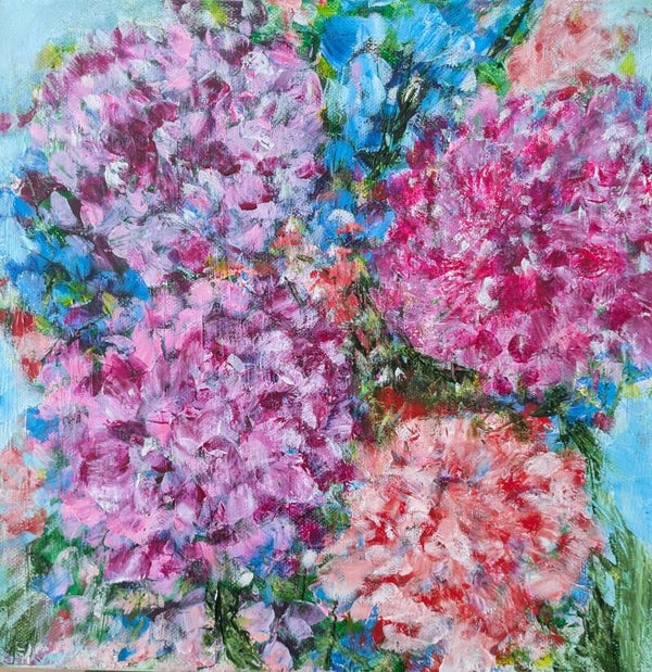 Hortensien, ab 58,- €