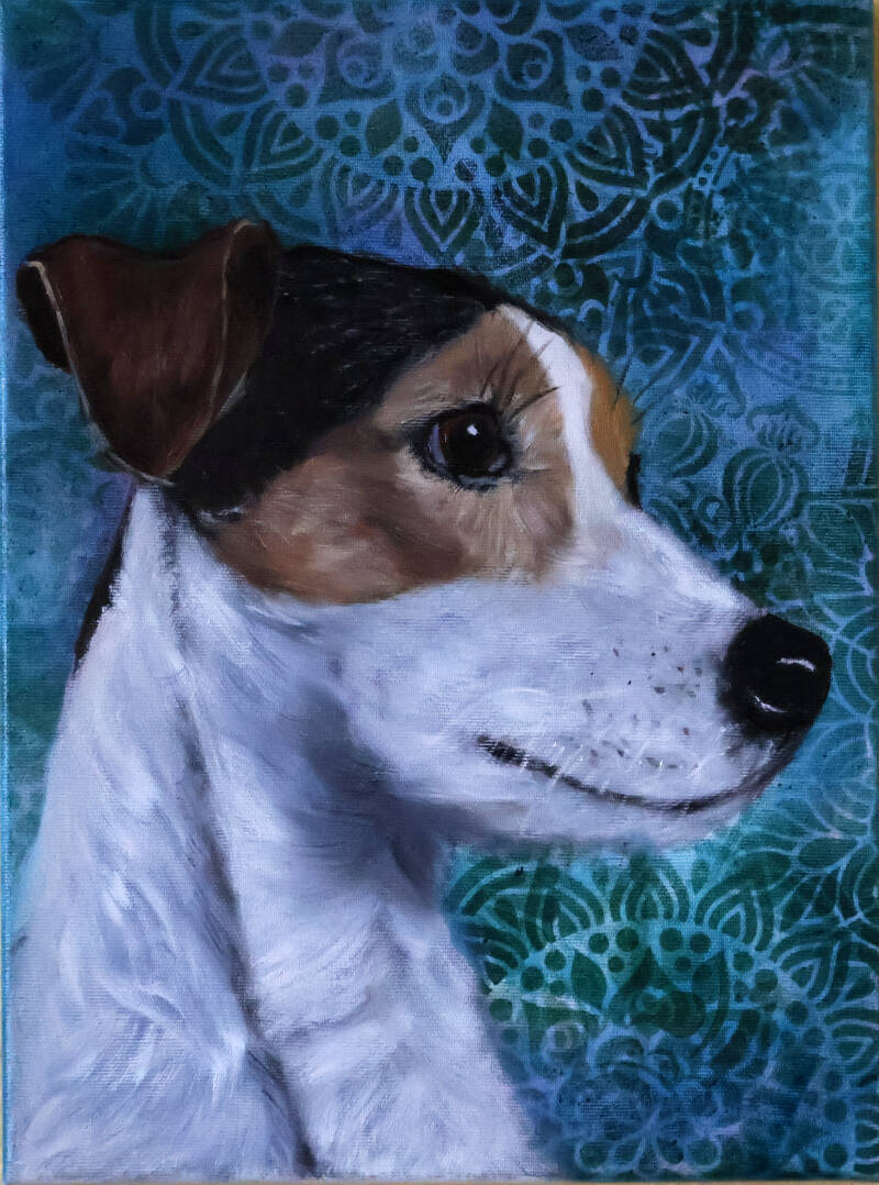 jackrussel-standard.jpg