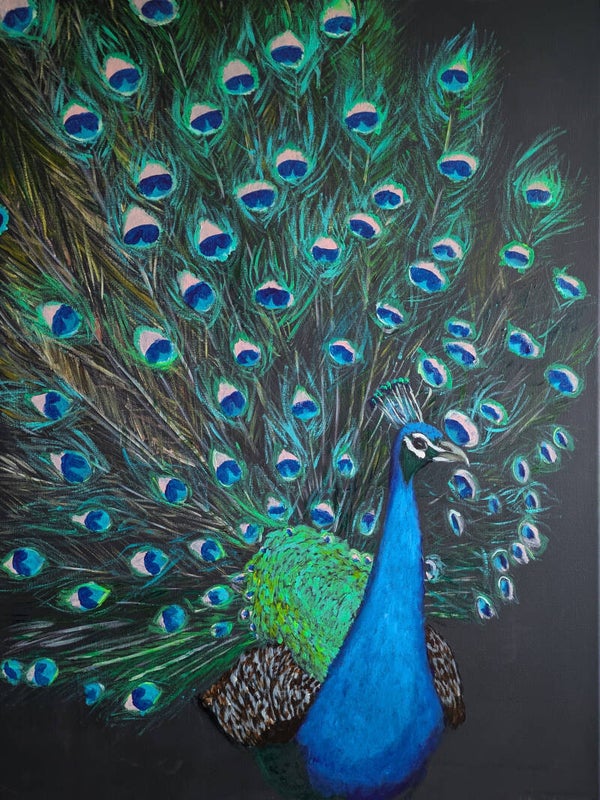 Pfau